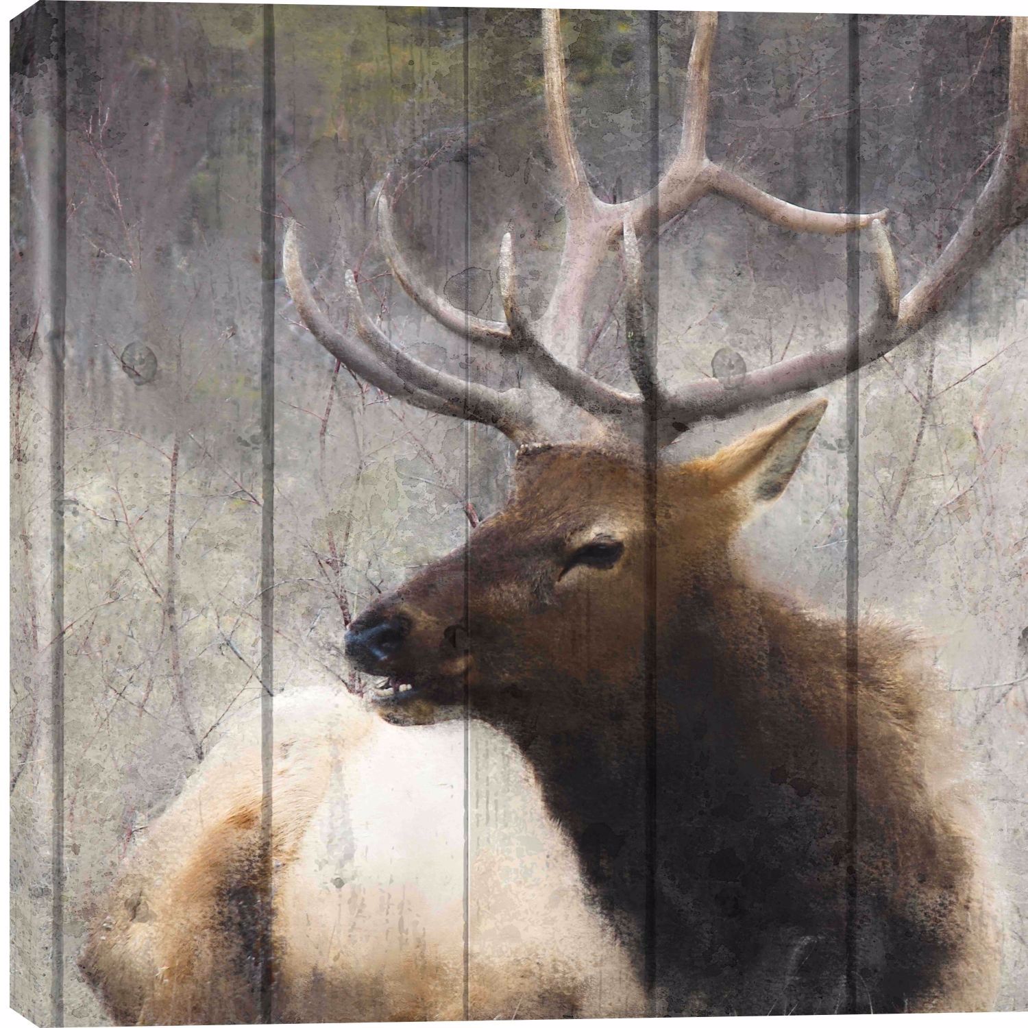 The King Elk | 120-92988 | Canvas Art | AFW.com