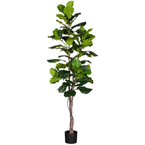 Faux Tall Ficus Tree | Home Accents | AFW.com